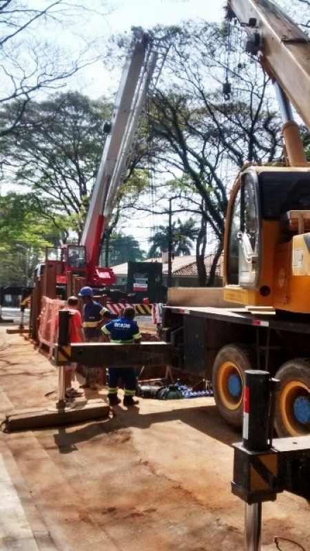 Locação de Guindastes para Empilhadeira Brasilândia - Locação de Guindaste para Obras em Geral